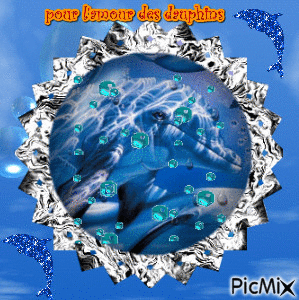 pour l'amour des dauphins - Free animated GIF
