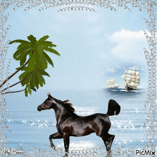 cavalo negro - GIF animé gratuit