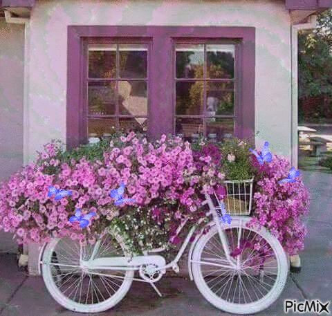 bicyclette et fleurs - Gratis geanimeerde GIF