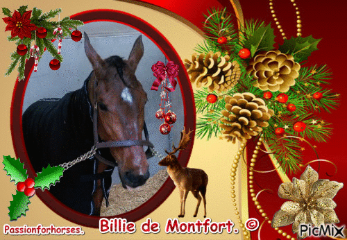 La championne Billie de Montfort. - Zdarma animovaný GIF