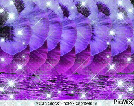 purple and a maroon colored pansies reflecting in purple water. - GIF animado grátis