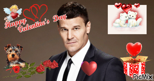 Happy Valentin's Days "David Boreanaz"" - GIF animé gratuit