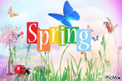 Spring.  🙂🌼 - Бесплатный анимированный гифка