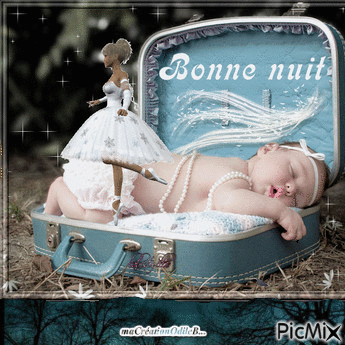 Bonne Nuit - 無料のアニメーション GIF