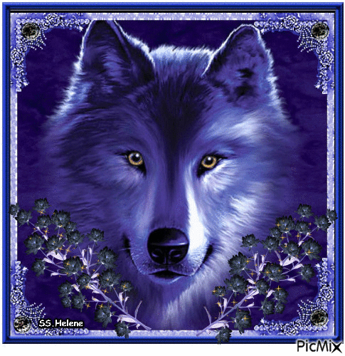 Blue wolf. - Ingyenes animált GIF