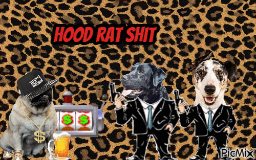 hood rat shit - Free animated GIF