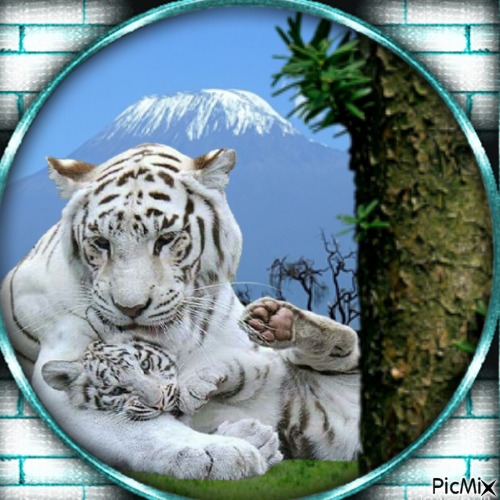 mama tigre y su hijo - png gratuito
