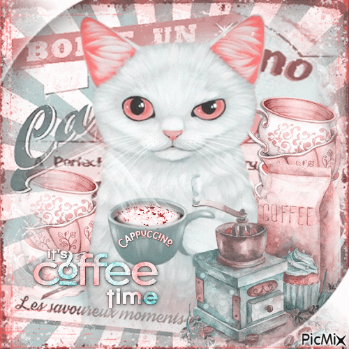 Cappuccino cat - GIF animasi gratis