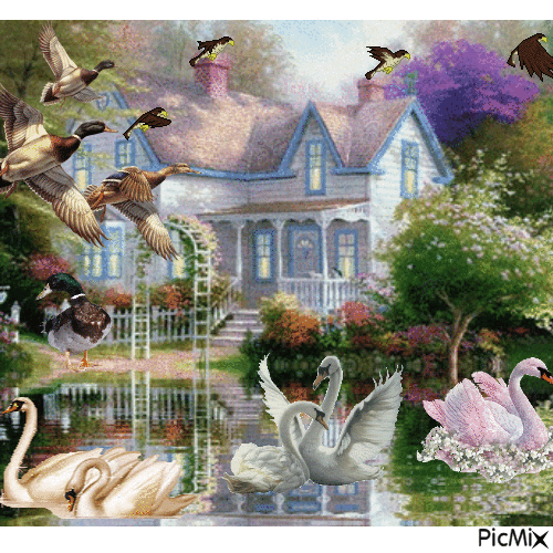 Birds and swans - GIF animado gratis