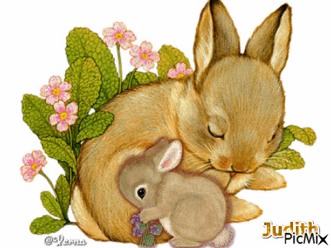 Conejos - GIF animado gratis - PicMix