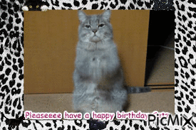 Happy birthday to Catz - GIF animé gratuit