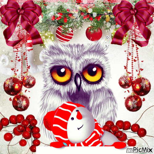 Christmas owl - GIF animé gratuit