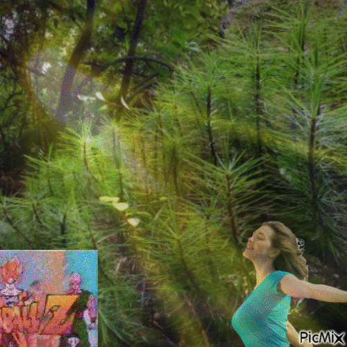 Dawsonia superba - Δωρεάν κινούμενο GIF