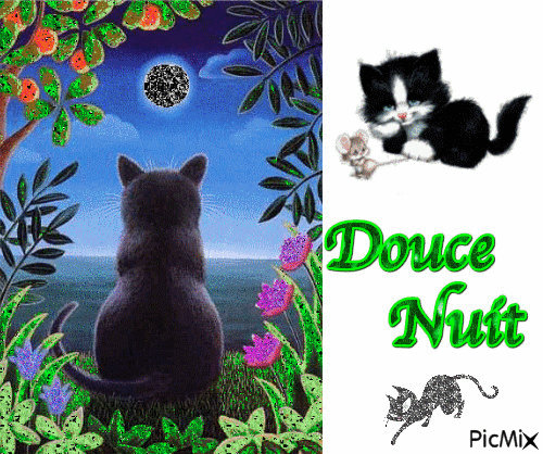 douce nuit3 - Δωρεάν κινούμενο GIF