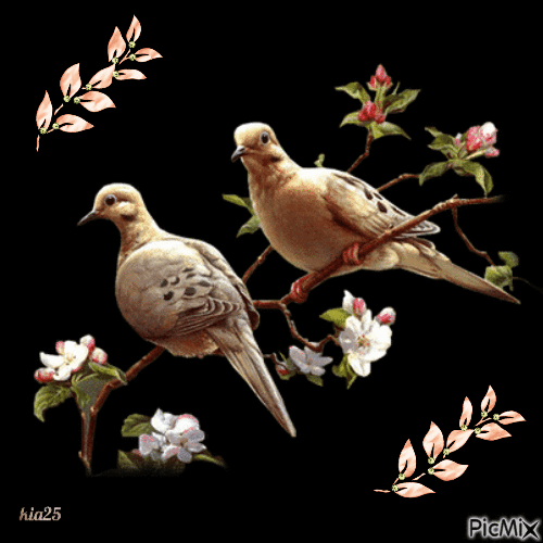 oiseaux sur branche - Zdarma animovaný GIF