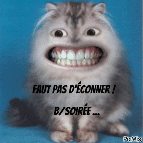 Coucou en observation ! - Free animated GIF
