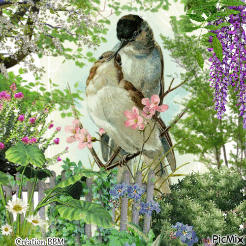 Les oiseaux par BBM - Безплатен анимиран GIF