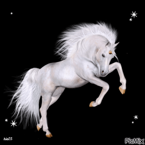 cheval blanc - Zdarma animovaný GIF