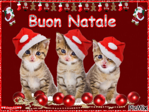 Buon Natale - Free animated GIF
