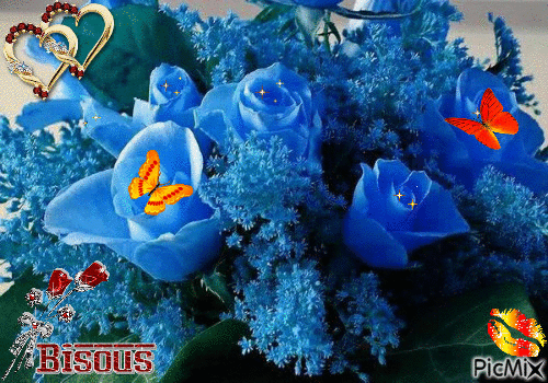roses bleues - Бесплатный анимированный гифка