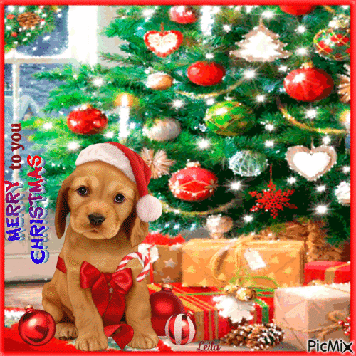 Merry Christmas to you... Christmas dog - Free animated GIF