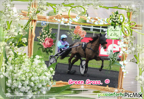 La championne Green Grass. © - GIF animé gratuit
