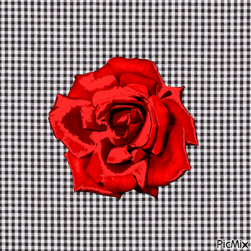 Rouge rouge - 無料のアニメーション GIF