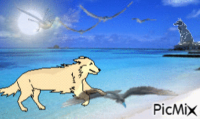 plage - Free animated GIF