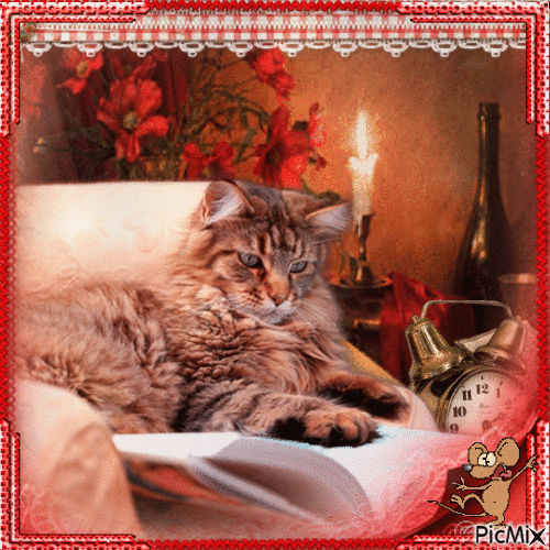 Cat and a book - GIF animate gratis