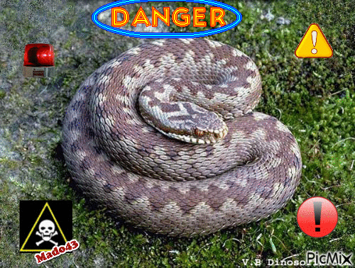 Danger - GIF animé gratuit