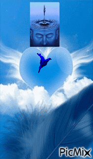 Collage azul - Darmowy animowany GIF