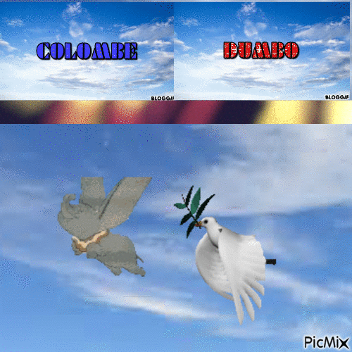 dumbo  colombe - Bezmaksas animēts GIF