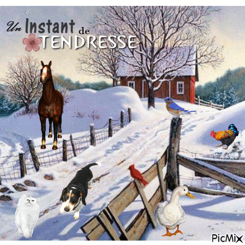 TENDRESSE ANIMALE - Ingyenes animált GIF