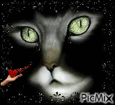 chat chagrin - Ilmainen animoitu GIF