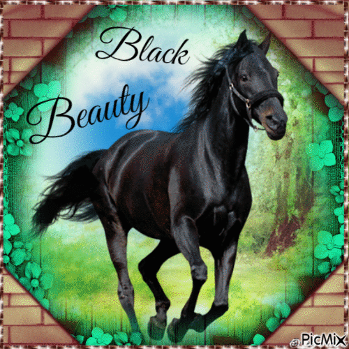 Black Beauty - GIF animé gratuit