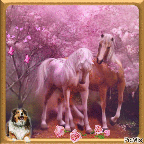 Amor aos cavalos... - Animovaný GIF zadarmo