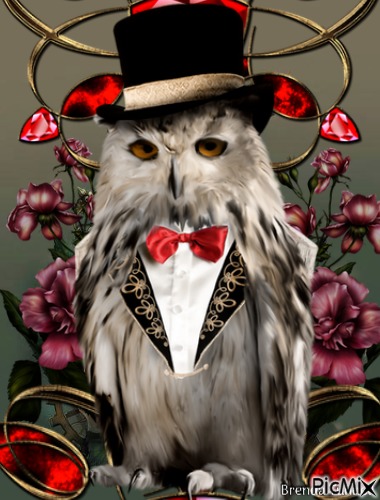 Fantasy owl - nemokama png