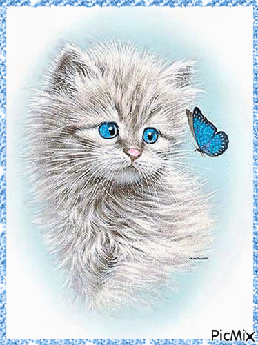 Chat et papillon. - Free animated GIF