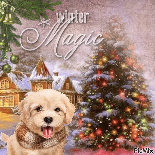 Winter Magic - gratis png