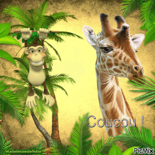 la girafe et le singe - GIF animado gratis