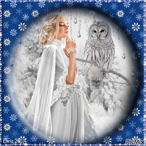 Contest- Beautiful winter owl - Gratis animeret GIF