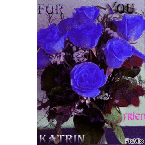 cadeau de mon amie  Katrin  ( katrinka ) ♦ - GIF เคลื่อนไหวฟรี