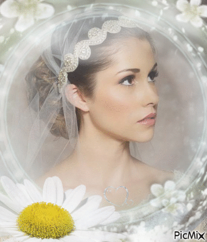 portrait de la mariée - 無料のアニメーション GIF