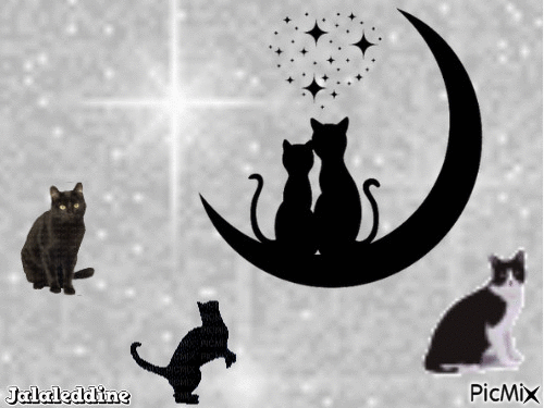 gattousou - GIF animasi gratis