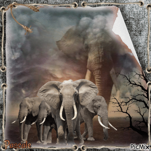 Les éléphants - Bezmaksas animēts GIF