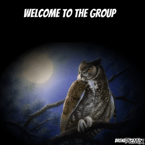 welcome owl - GIF animasi gratis