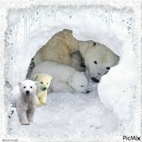 Eisbärfamilie - GIF animé gratuit