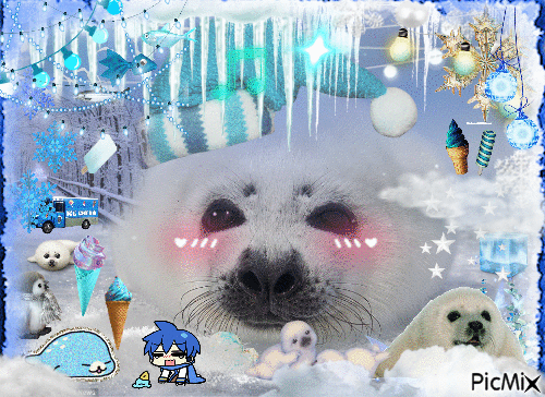 winter wonderland seal - Zdarma animovaný GIF
