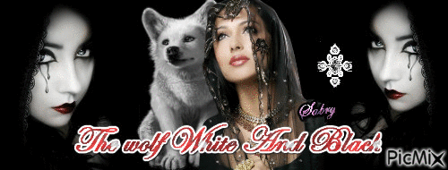The wolf White And Black - Gratis animeret GIF