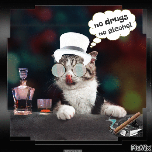 Lustige Katze - Bezmaksas animēts GIF